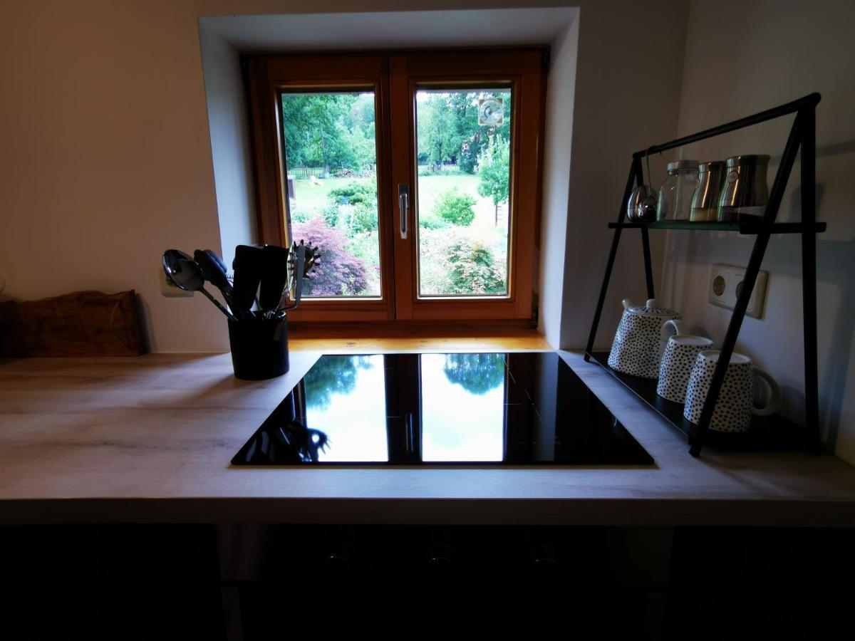 Appartement Birke à Ilsenburg Extérieur photo